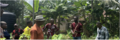 Thumbnail for version as of 12:50, 29 April 2026