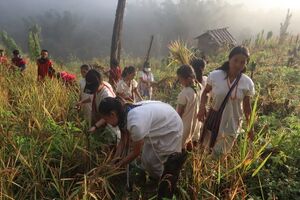 Ta Madok Maka-Hsar Doe Doh Moo-01.jpg