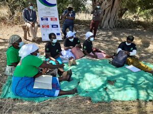 Susu Makombore 1.jpg