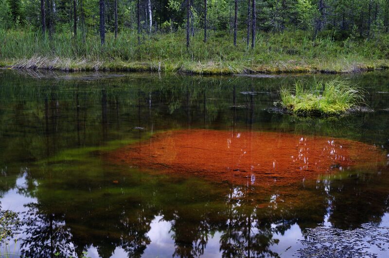 File:Mustonen Hiisi Image 5.jpg