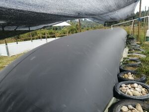 Energías Comunitarias 3.jpg